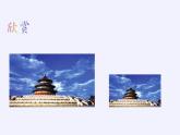 江蘇科學(xué)技術(shù)出版社初中數(shù)學(xué)九年級下冊 6.3 相似圖形   課件