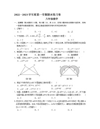 江苏省南京市联合体2022-2023学年八年级上学期数学期末练习卷(含答案)