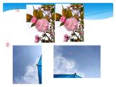 江蘇科學(xué)技術(shù)出版社初中數(shù)學(xué)九年級(jí)下冊(cè) 6.6 圖形的位似   課件2