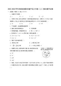 河南省南阳市镇平县2021-2022学年八年级上学期期末数学试卷 (含答案)