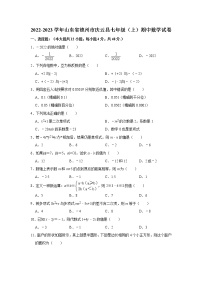 山东省德州市庆云县2022-2023学年上学期七年级期中数学试卷 (含答案)