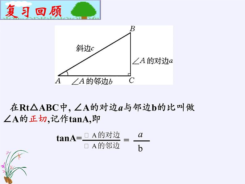 江苏科学技术出版社初中数学九年级下册 7.2 正弦、余弦   课件第2页