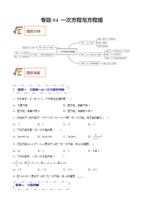 2023年中考数学一轮复习题型归纳专练04 一次方程与方程组