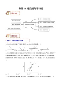 2023年中考数学一轮复习题型归纳专练08 相交线与平行线