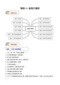 2023年中考数学一轮复习题型归纳专练10 全等三角形