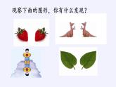 江苏科学技术出版社初中数学八年级下册 9.2 中心对称与中心对称图形  课件4