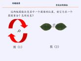 江苏科学技术出版社初中数学八年级下册 9.2 中心对称与中心对称图形  课件5
