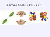 江苏科学技术出版社初中数学八年级下册 9.2 中心对称与中心对称图形  课件7