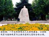 江苏科学技术出版社初中数学八年级下册 10.1 分式  课件8