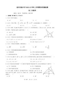 福建省泉州实验中学2022-2023学年八年级上学期期末质量检测数学试题