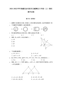 新疆克拉玛依市白碱滩区2021-2022学年八年级上学期期末数学试卷(解析版)