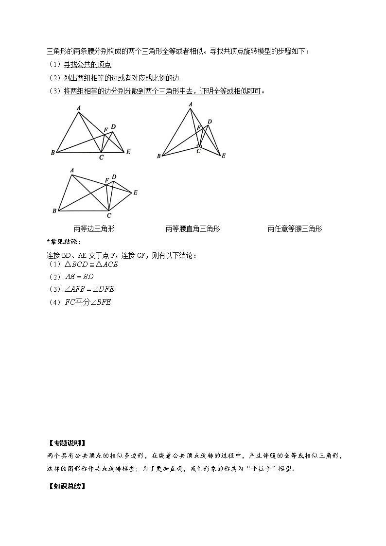 专题06“手拉手”模型解决全等问题（原卷版）第2页