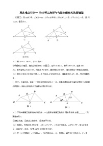 八年级数学上册期末难点特训（一）和全等三角形与勾股定理有关的压轴题