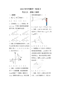 2023年中考数学一轮复习 考点23  相似三角形