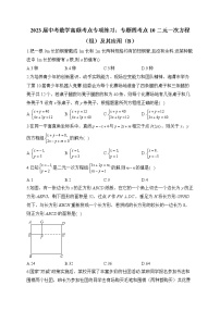 2023届中考数学高频考点专项练习：专题四 考点10 二元一次方程（组）及其应用（B）(解析版)