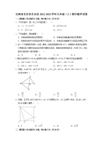 江西省吉安市吉安县2022-2023学年九年级上学期期中数学试卷(含答案)