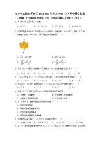 辽宁省沈阳市浑南区2022-2023学年九年级上学期期中数学试卷(含答案)