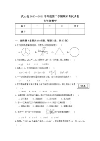 甘肃省天水市武山县2020-2021学年七年级下学期期末考试数学试卷