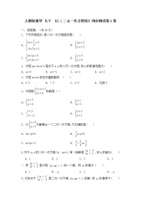 初中8.1 二元一次方程组优秀练习