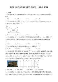 北京市2023年九年级中考数学一轮复习——相似形 练习题(解析版)
