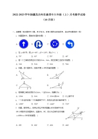 2022-2023学年新疆昌吉州阜康四中八年级（上）月考数学试卷（10月份）(解析版)