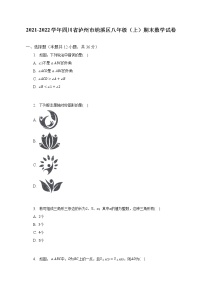 四川省泸州市纳溪区2021-2022学年八年级上学期期末数学试卷(含答案)