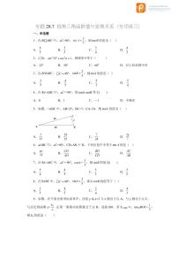 专题28.7 锐角三角函数值与锐角关系（专项练习）-2022-2023学年九年级数学下册基础知识专项讲练（人教版）