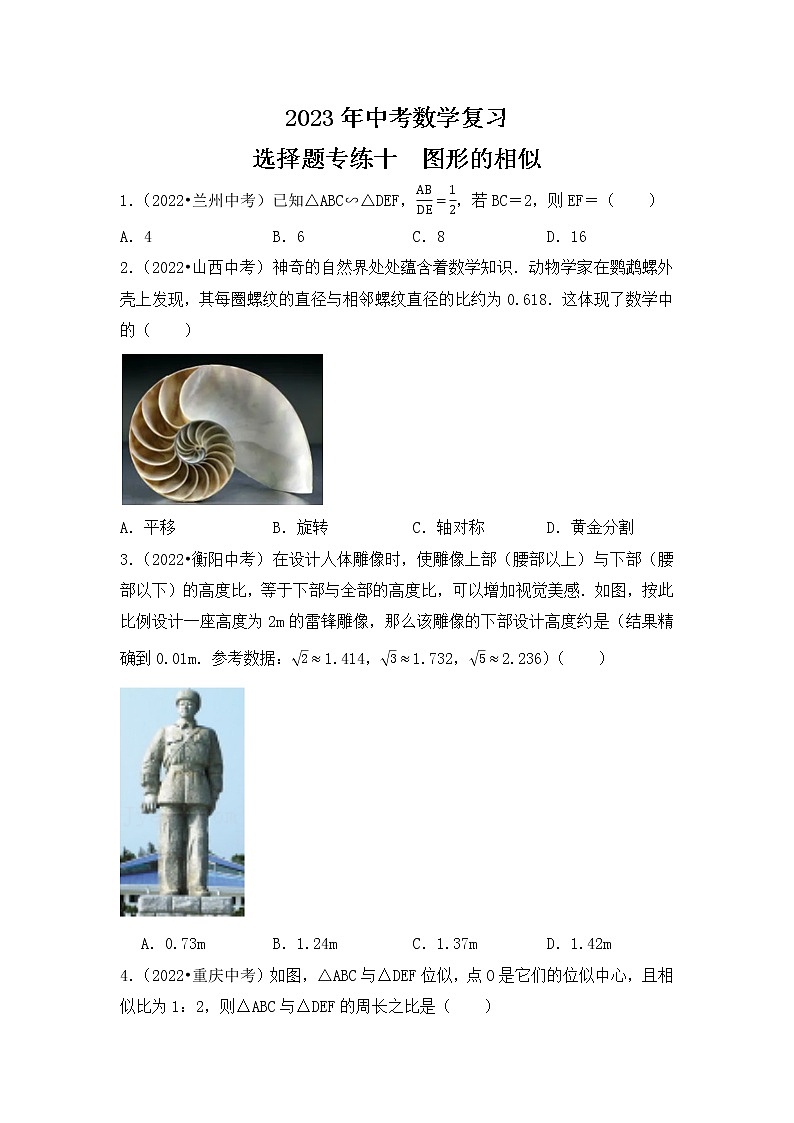 10. 2023年中考数学复习  选择题专练十   图形的相似第1页