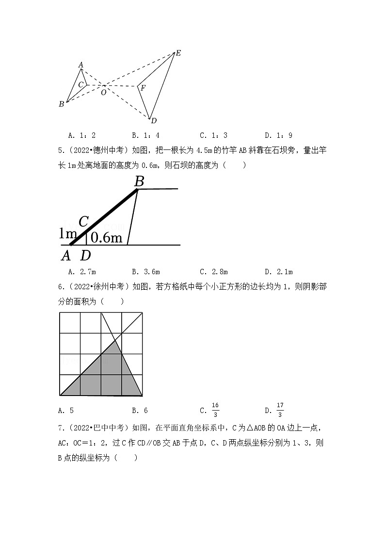 10. 2023年中考数学复习  选择题专练十   图形的相似第2页