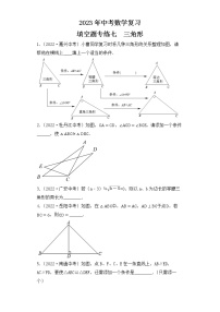 7. 2023年中考数学复习  填空题专练七  三角形