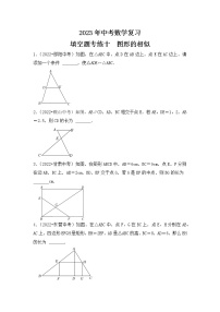 10. 2023年中考数学复习 填空题专练十  图形的相似