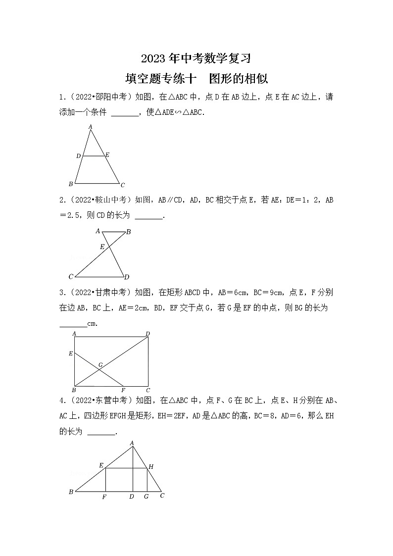 10. 2023年中考数学复习 填空题专练十  图形的相似第1页
