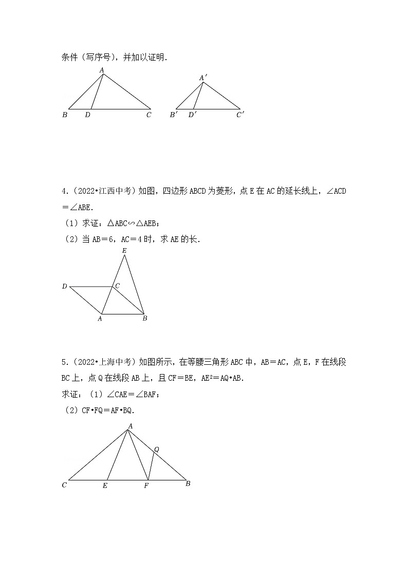 10. 2023年中考数学复习 解答题专练十   图形的相似第2页