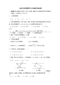 河南省南阳市桐柏县方树泉中学2022-2023学年七年级上学期期末测试数学试题