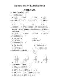 河南省三门峡市灵宝市2022-2023学年七年级上期期末学情调研数学测试卷