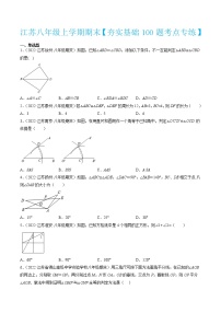 2022-2023学年八年级数学上学期期末考试满分全攻略（苏科版）【夯实基础100题考点专练】