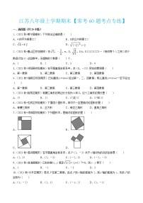 2022-2023学年八年级数学上学期期末考试满分全攻略（苏科版）【常考60题考点专练】