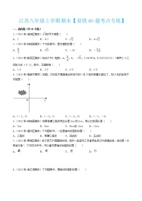 2022-2023学年八年级数学上学期期末考试满分全攻略（苏科版）【易错60题考点专练】