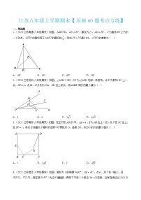 2022-2023学年八年级数学上学期期末考试满分全攻略（苏科版）【压轴60题考点专练】