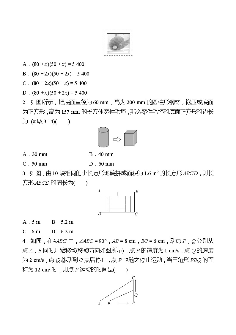第二章 6应用一元二次方程 第1课时 同步练习（学生版）2022-2023 北师大版数学 九年级上册第2页