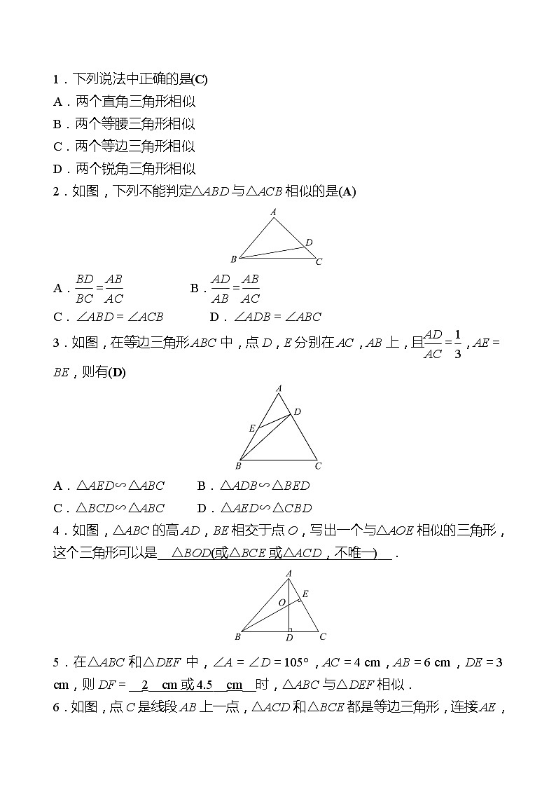 第四章 4探索三角形相似的条件 第1课时 同步练习（教师版）2022-2023 北师大版数学 九年级上册第2页