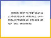 32.3 直棱柱和圆锥的侧面展开图 课件+教案+练习