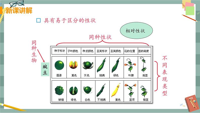 26.4 综合与实践  概率在遗传学中的应用第6页