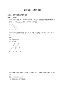 第十五讲 全等三角形-中考数学第一轮复习分点透练真题（全国通用）