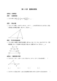 第十六讲 图形的相似-最新备战中考数学第一轮复习分点透练真题（全国通用）