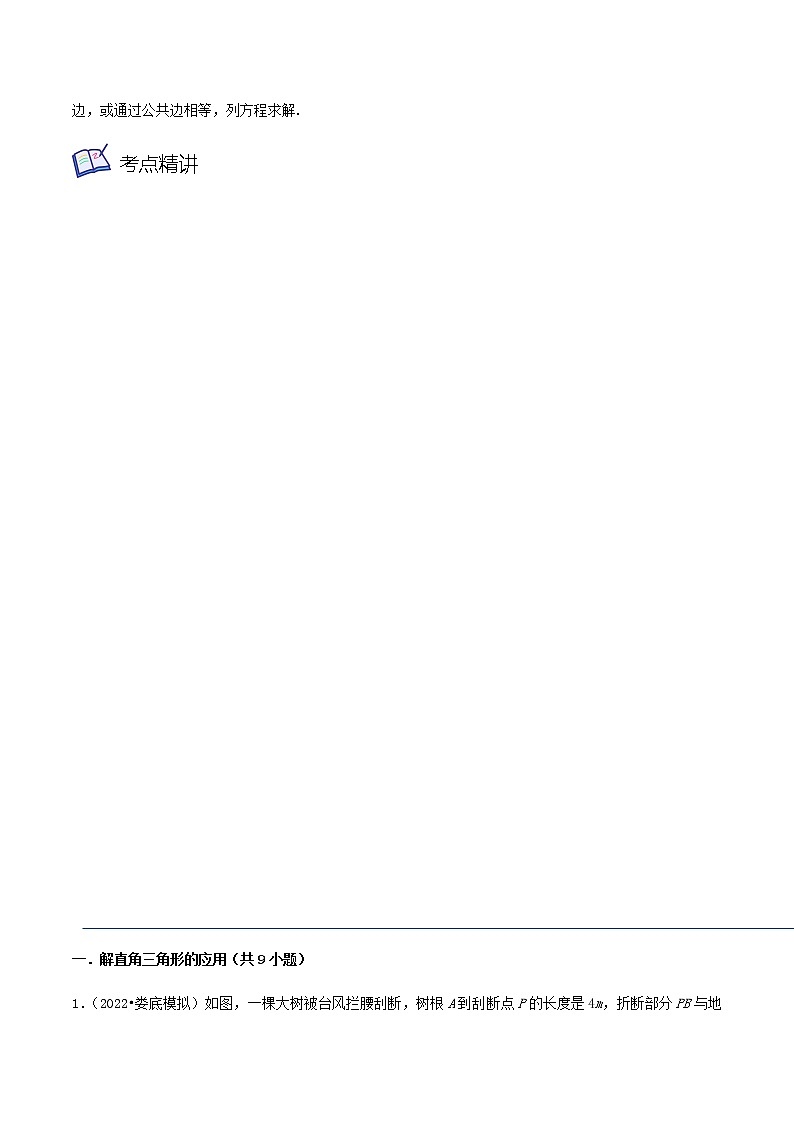 第17讲 锐角三角函数的应用（4大考点）-九年级数学考试满分全攻略（苏科版）03