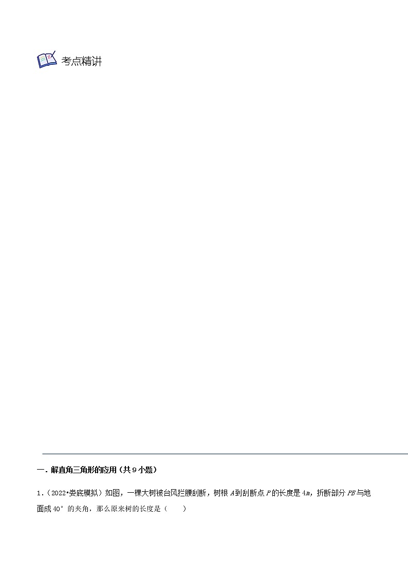 第17讲 锐角三角函数的应用（4大考点）-九年级数学考试满分全攻略（苏科版）03