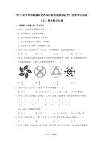 2022-2023学年新疆阿克苏地区阿瓦提县拜什艾日克中学九年级（上）期末数学试卷