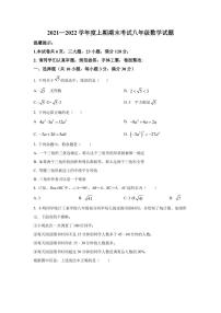 河南省周口市太康县2021-2022学年八年级上学期期末数学试题