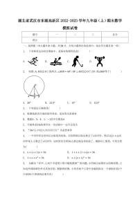 湖北省武汉市东湖高新区2022-2023学年九年级上学期期末数学模拟试卷